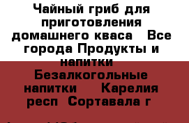 Чайный гриб для приготовления домашнего кваса - Все города Продукты и напитки » Безалкогольные напитки   . Карелия респ.,Сортавала г.